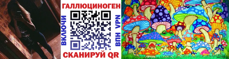 Галлюциногенные грибы Psilocybine cubensis  где можно купить   Абакан 